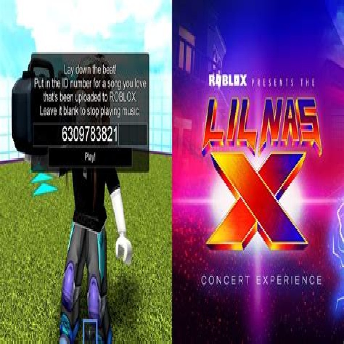 HTML