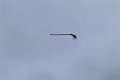Disturbing video shows floating broom in the middle of the air and the internet is losing its collective mind