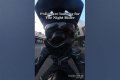 Night Rider Arrested, What Happened To Night Rider?