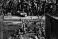 WWII's Most Daring Raids - Smithsonian Channel